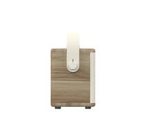 SPEAKER BT 40 WATT