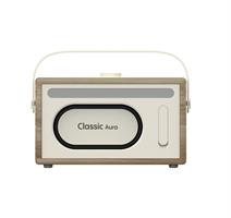 SPEAKER BT 40 WATT