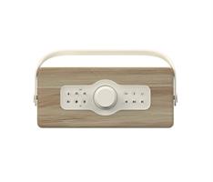 SPEAKER BT 40 WATT