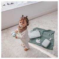 BIRD SCATOL PORTACIUCCIO VER