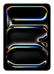 11-IPAD PRO WI-FI 256GB SP.B