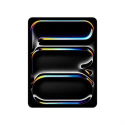 13-IPAD PRO WI-FI 256GB SILV