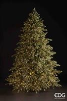 PINO ARGENTATO 6.500L 270CM
