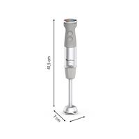 MIXER QUICKCHEF+ 2 IN 1