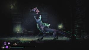 MANDRAGORA WHISPERS WITCH TR
