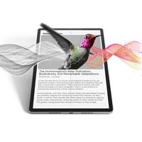TAB IDEA PRO PEN+ 8/256GB 12