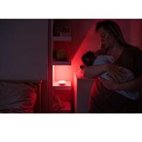 DREAMMAKER BABY SLEEP L.NOTT