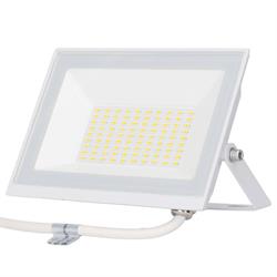 PROIETTORE LED 50W 6500K BIA