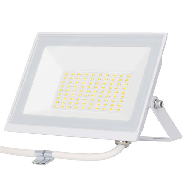 PROIETTORE LED 50W 6500K BIA