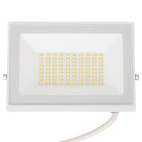 PROIETTORE LED 50W 6500K BIA
