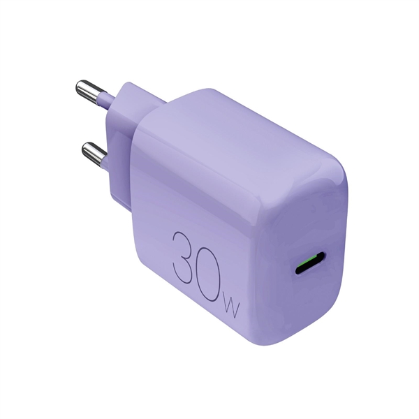 CARICAB.RETE PRO LITE1X 30W