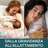 CUSC.ALLATT./GRAVID FAN BEIG