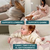 CUSC.ALLATT./GRAVID FAN BEIG