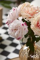ROSA ROYAL APERTA H56 C2 2 A