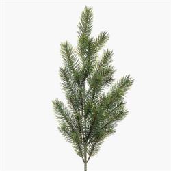 PINO RAMO VERDE H65