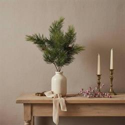 CESPUGLIO PIN C/PIGNE H50