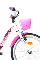 BICI ROSES 20 C/ACCESSORI