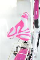 BICI ROSES 20 C/ACCESSORI