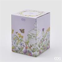 CONTEN.COPPA H29 D15