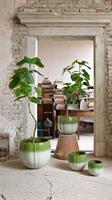 VASO GLAZE ATLAS CIOTOLA GRE