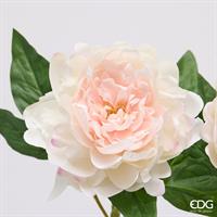 PEONIA RAMO C/FOGLIE H58