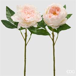 PEONIA RAMO C/FOGLIE H58