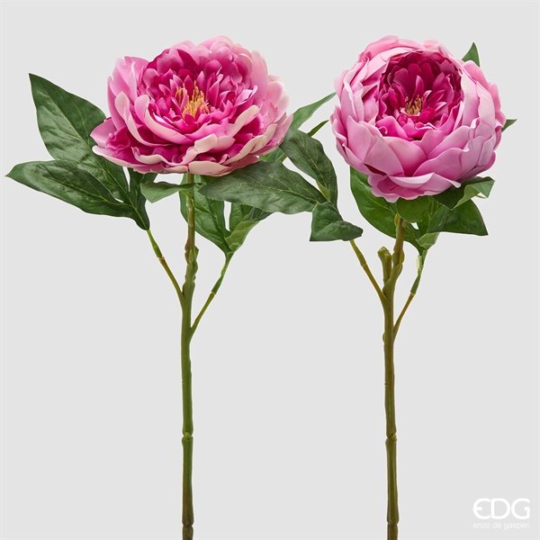 PEONIA RAMO C/FOGLIE H58