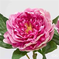 PEONIA RAMO C/FOGLIE H58