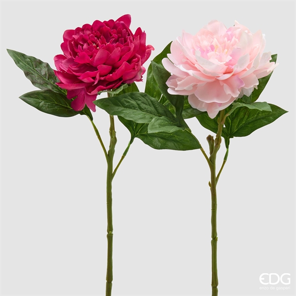 PEONIA RAMO C/FOGLIE H.58