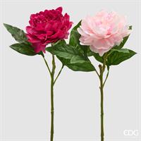 PEONIA RAMO C/FOGLIE H.58