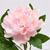 PEONIA RAMO C/FOGLIE H.58