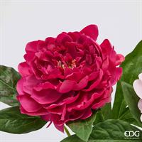 PEONIA RAMO C/FOGLIE H.58