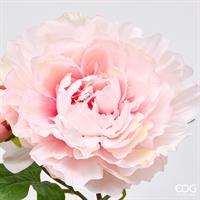 PEONIA RAMO REAL C/BOCC H54