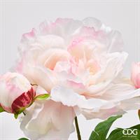 PEONIA RAMO REAL C/BOCC H54