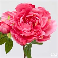 PEONIA RAMO REAL C/BOCC.H54