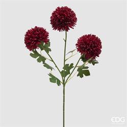 DALIA PONPON BLISS RAMO X3 H