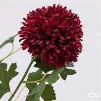 DALIA PONPON BLISS RAMO X3 H