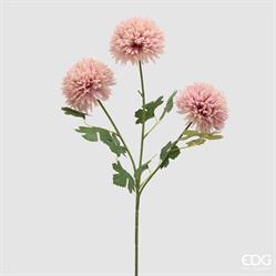 DALIA PONPON BLISS RAMO X3 H