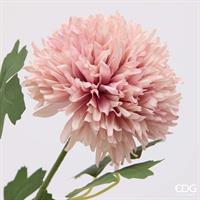 DALIA PONPON BLISS RAMO X3 H