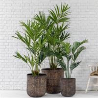 CESTO GIAVA GREY