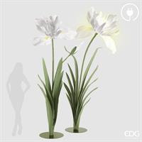 DEC.IRIS JUMBO LED SR 2PZ H2