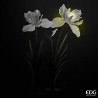 DEC.IRIS JUMBO LED SR 2PZ H2