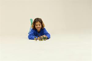 LEGO TECHNIC MIETITREBBIA