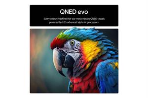 LG 65 QNED EVO 4K SMART