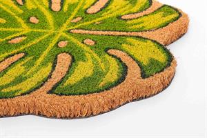 ZERBIN FOGLIA FILODENDRO 40X