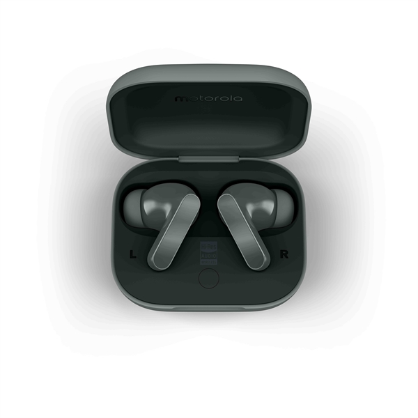 MOTO BUDS BASS AURIC DARK SH