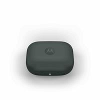 MOTO BUDS BASS AURIC DARK SH