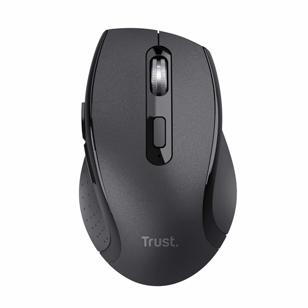 COMFORTABLE MOUSE WIRELESS B