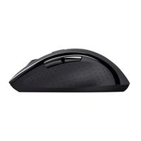 COMFORTABLE MOUSE WIRELESS B