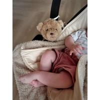 ORSO LOU MARRONE